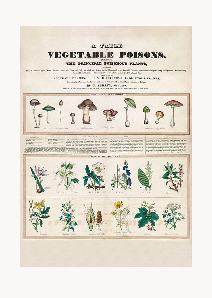 Poisonous Mushrooms Irritating Poisons art print by Pictufy for $57.95 CAD