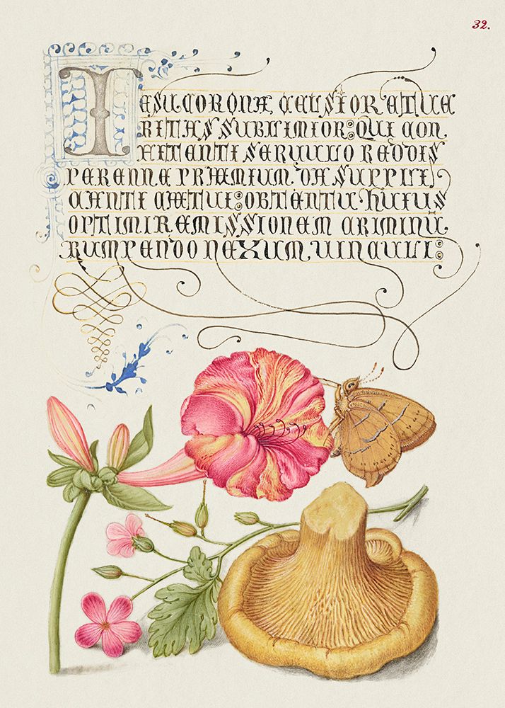 Mira Calligraphiae Monumenta art print by Pictufy for $57.95 CAD