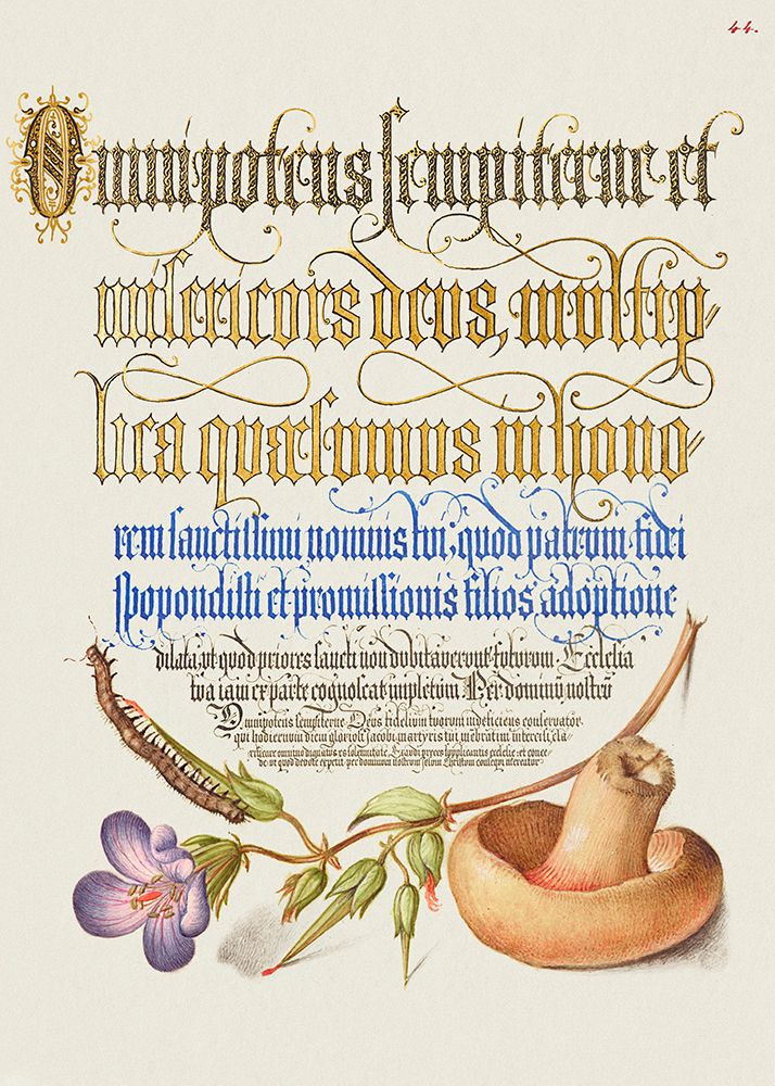 Mushroom Poster art print by Pictufy for $57.95 CAD