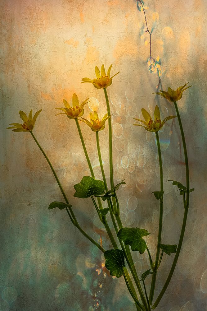 Frivolous Yellow art print by van der Hilda for $57.95 CAD