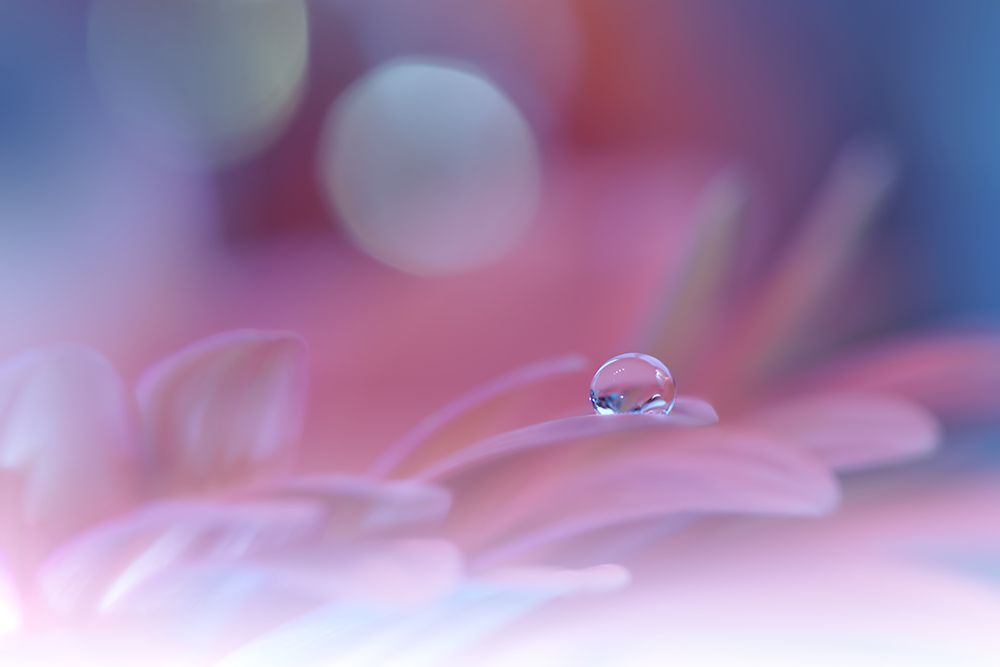 * art print by Juliana Nan for $57.95 CAD