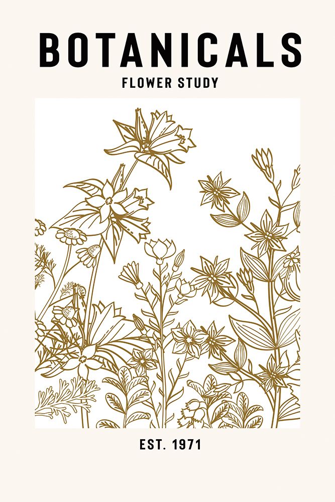 Botanicals Flower Study Ii art print by Jay Stanley for $57.95 CAD