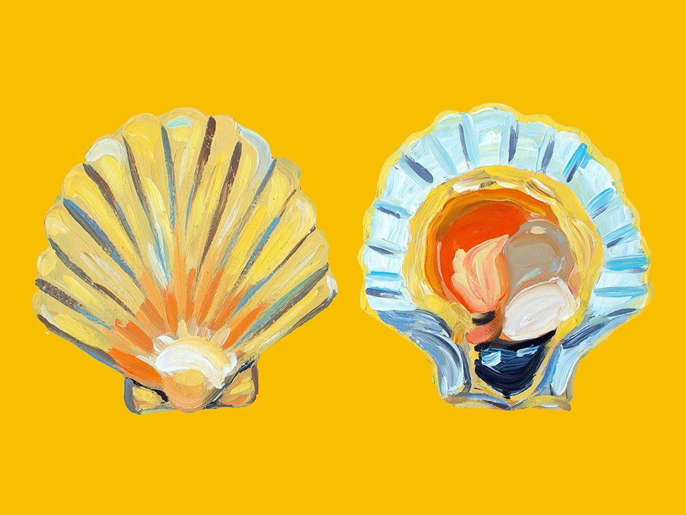 Scallops On Yellow art print by Alice Straker for $57.95 CAD