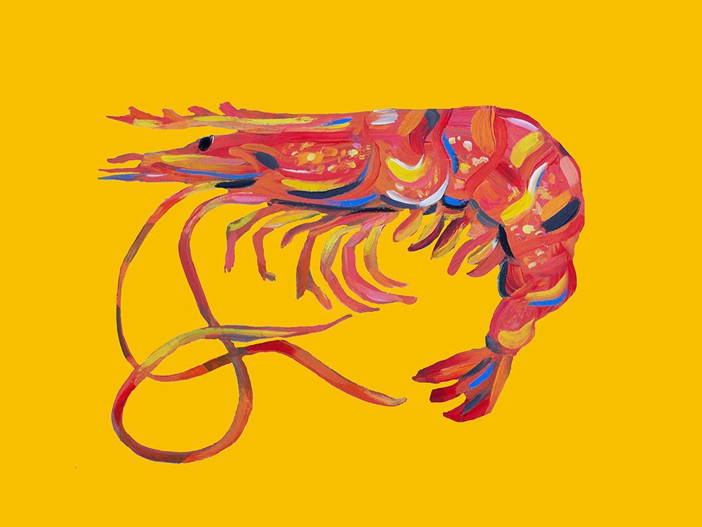 Prawn On Yellow art print by Alice Straker for $57.95 CAD