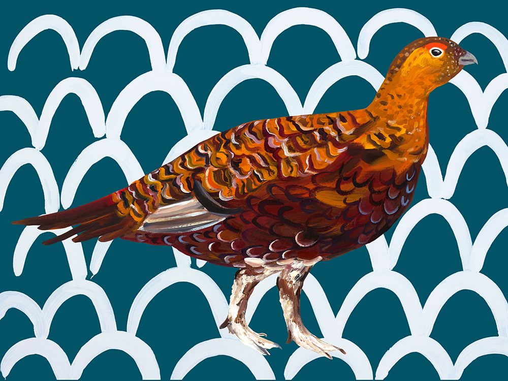 Gorgeous Grouse art print by Alice Straker for $57.95 CAD