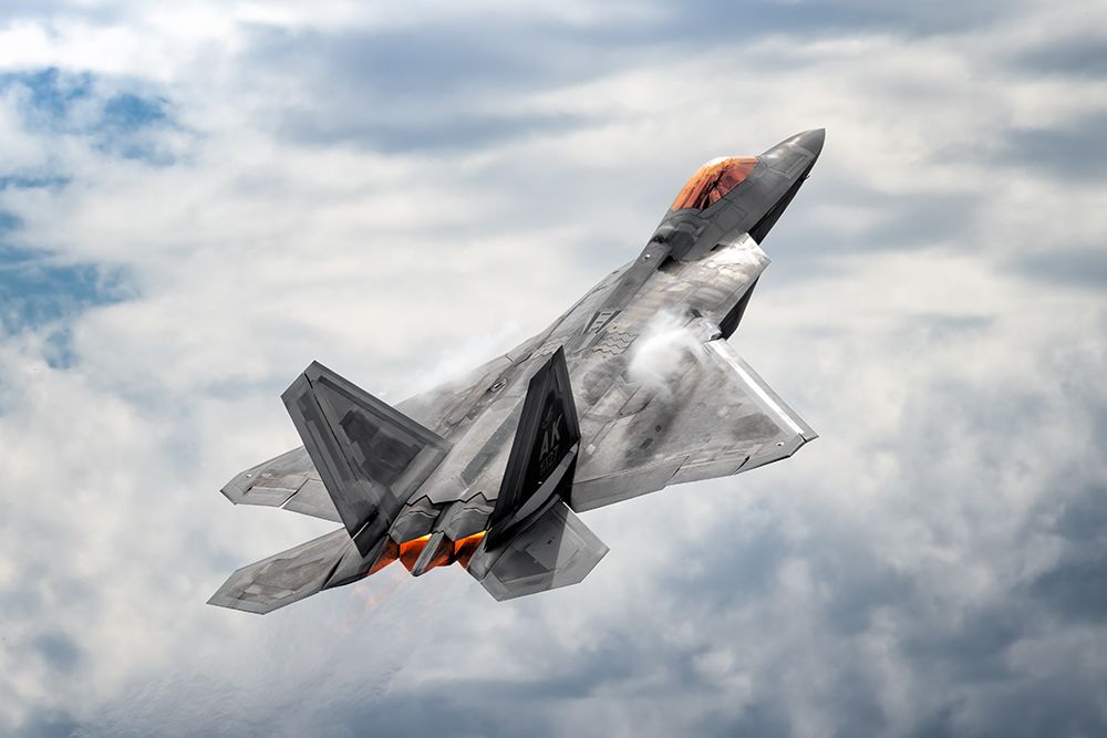 Raptor In The Sky art print by Ziwen He for $57.95 CAD