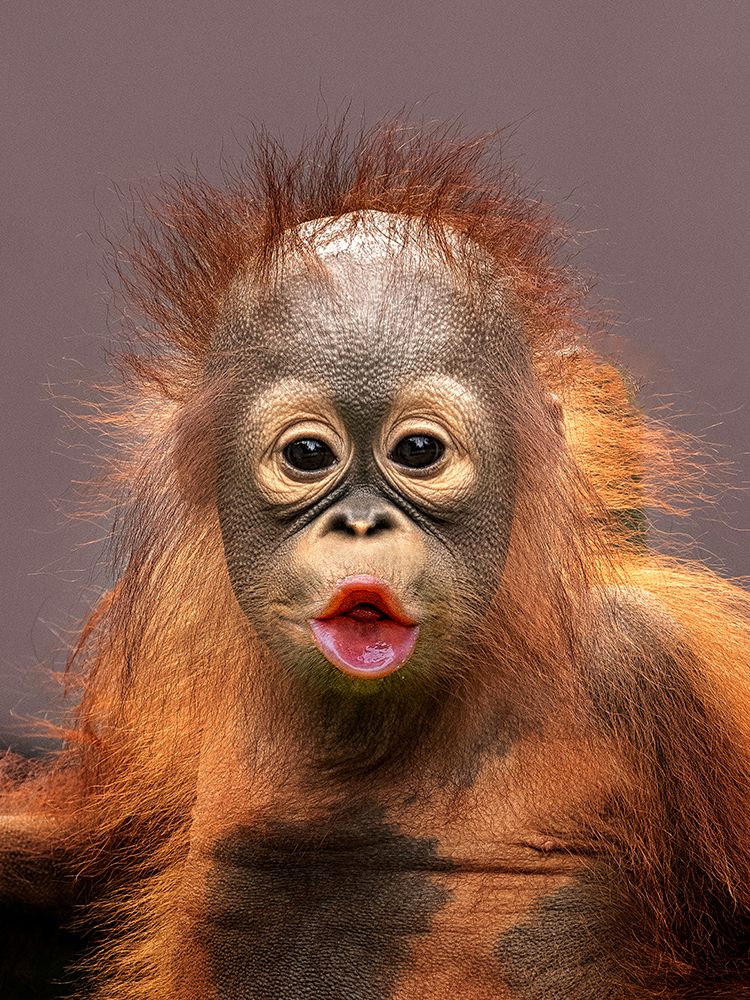 Kisses art print by Prabu Dennaga for $57.95 CAD