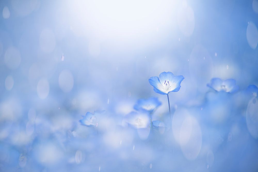 Blue Glow art print by Takashi Suzuki for $57.95 CAD