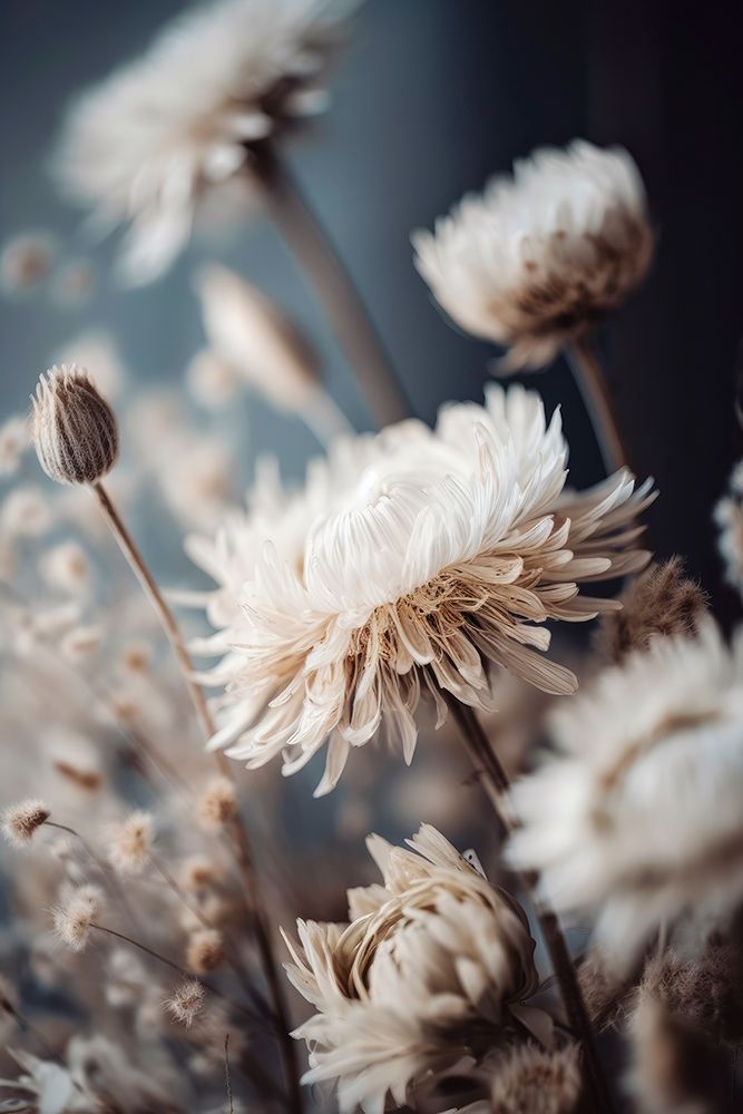 Dry Pastel Flowers No 2 art print by Treechild for $57.95 CAD