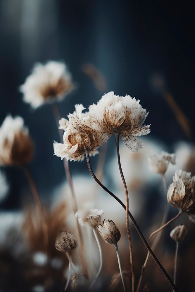 Dry Pastel Flowers No1 art print by Treechild for $57.95 CAD