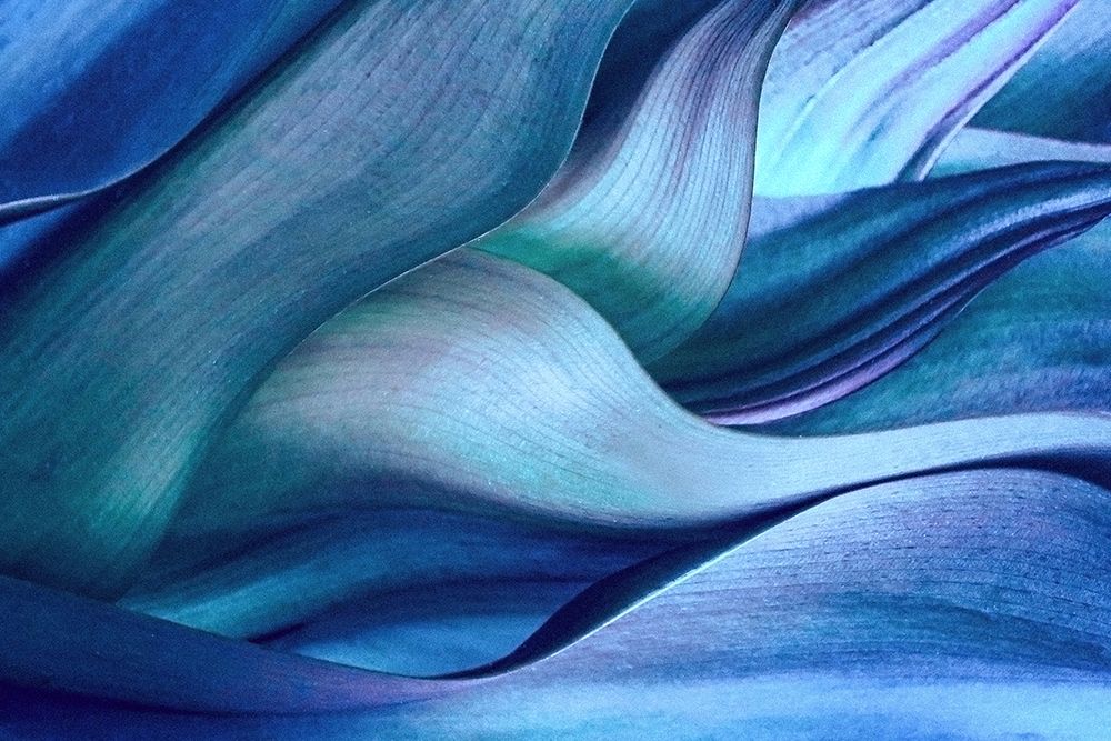 Shades Of Blue art print by Robin Wechsler for $57.95 CAD