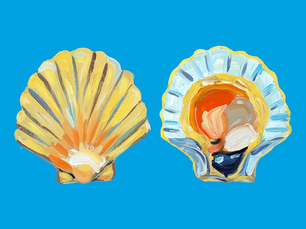 Scallops On Blue art print by Alice Straker for $57.95 CAD