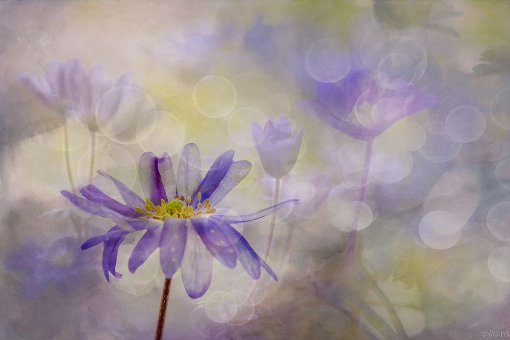 Pastel Party art print by van der Hilda for $57.95 CAD
