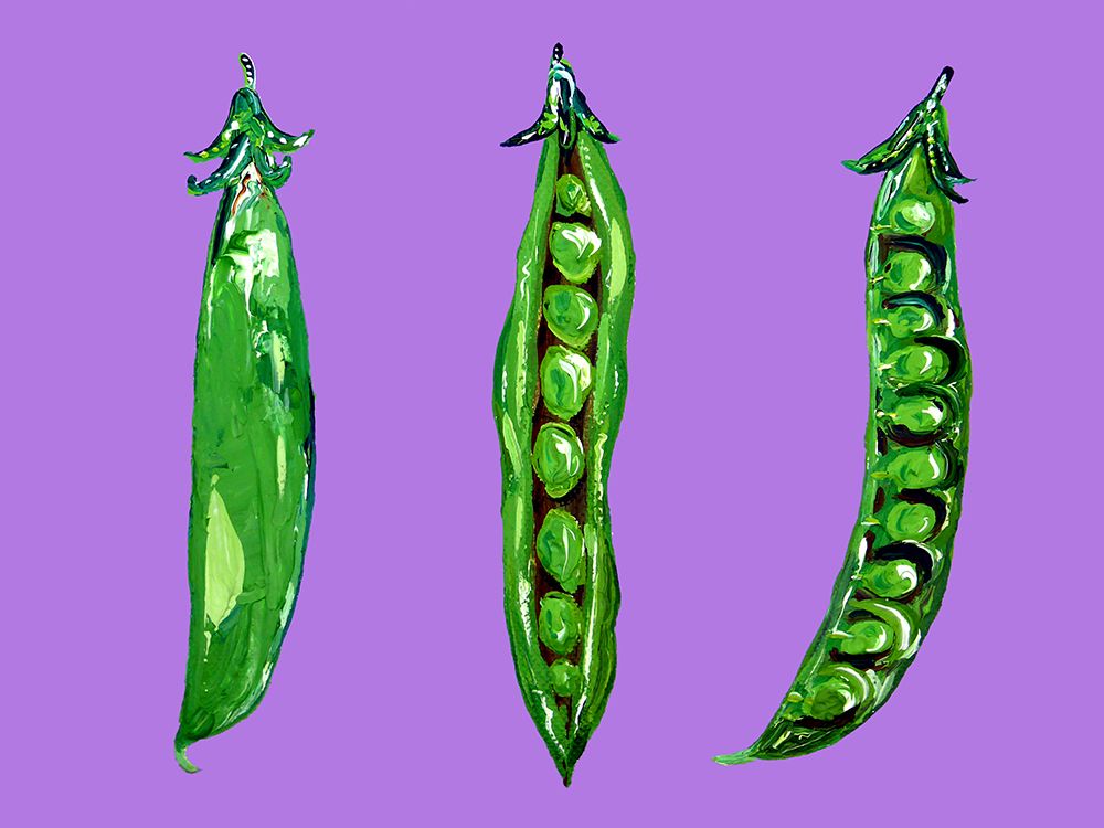 Peas In a Pod art print by Alice Straker for $57.95 CAD