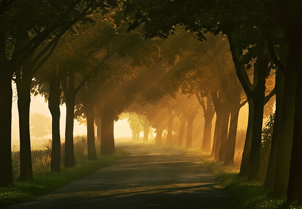 Autumn road... art print by Krzysztof Browko for $57.95 CAD