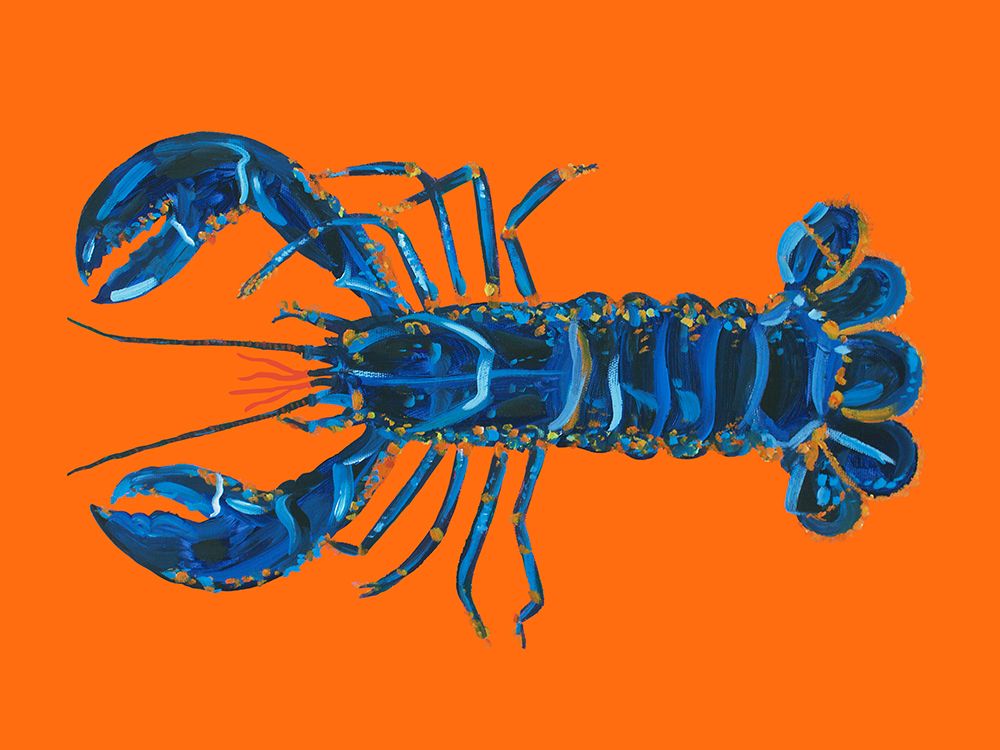Lobster On Orange art print by Alice Straker for $57.95 CAD