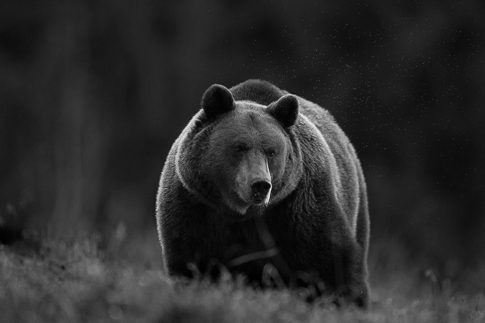 Untitled art print by Sebastian Mastahac for $57.95 CAD