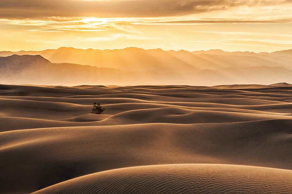 Golden Rays Over Sand Dunes art print by Catherine Lu for $57.95 CAD