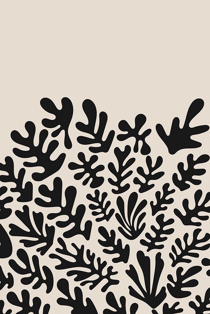 Henri Matisse Black Algae Collection #2 art print by Jay Stanley for $57.95 CAD