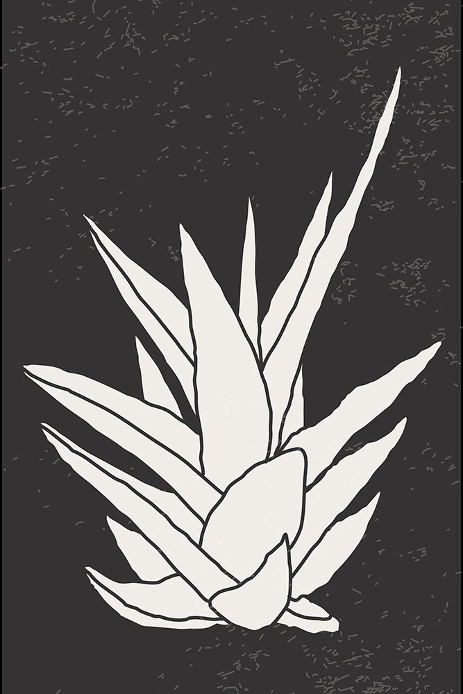 Agave #1 art print by Jay Stanley for $57.95 CAD
