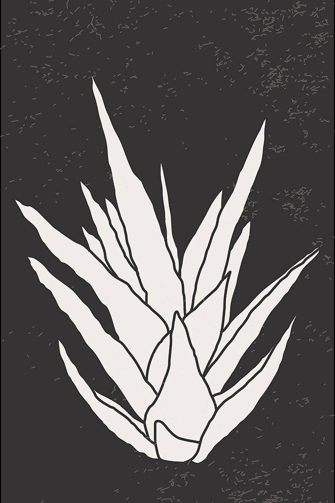 Agave #3 art print by Jay Stanley for $57.95 CAD