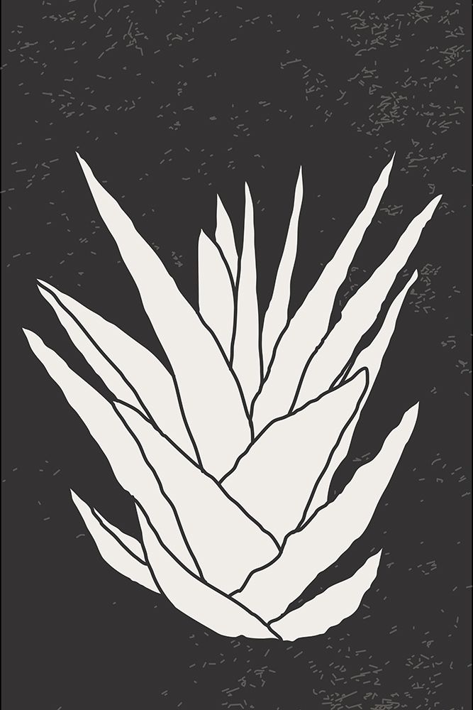 Agave #2 art print by Jay Stanley for $57.95 CAD