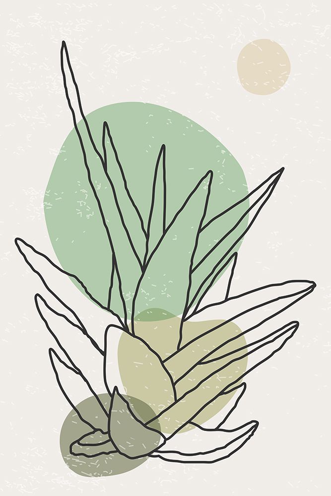 Color Abstract Agave #3 art print by Jay Stanley for $57.95 CAD