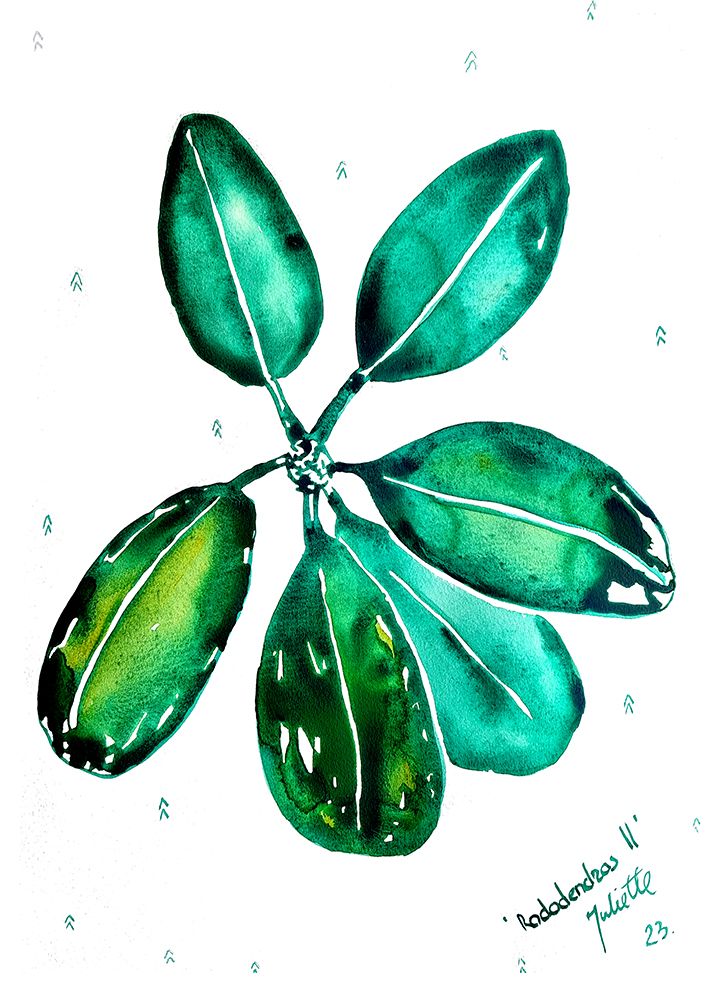 Rhododendron II art print by Julija Belickiene for $57.95 CAD