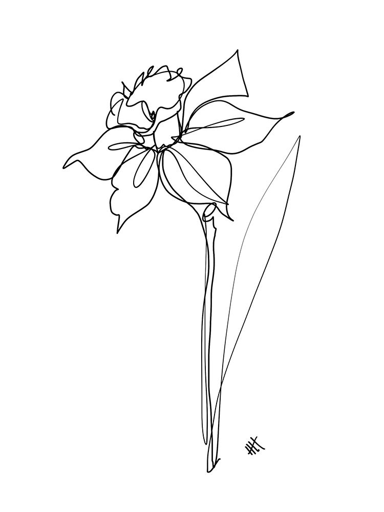 The Daffodil art print by Hanna Lee Tidd for $57.95 CAD
