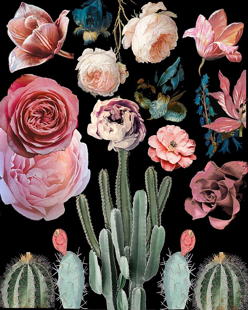 Cacti Floral Blooms Botanical art print by Giovanna Nicolo for $57.95 CAD