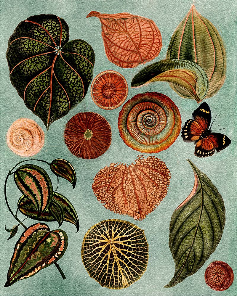 Terracotta Blues Botanical art print by Giovanna Nicolo for $57.95 CAD