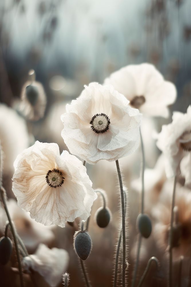 White Poppy Field No 1 art print by Treechild for $57.95 CAD