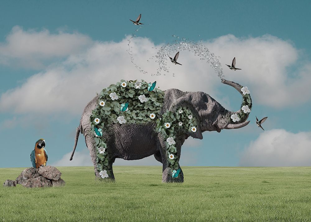 Elephant art print by Salome Zhividze for $57.95 CAD