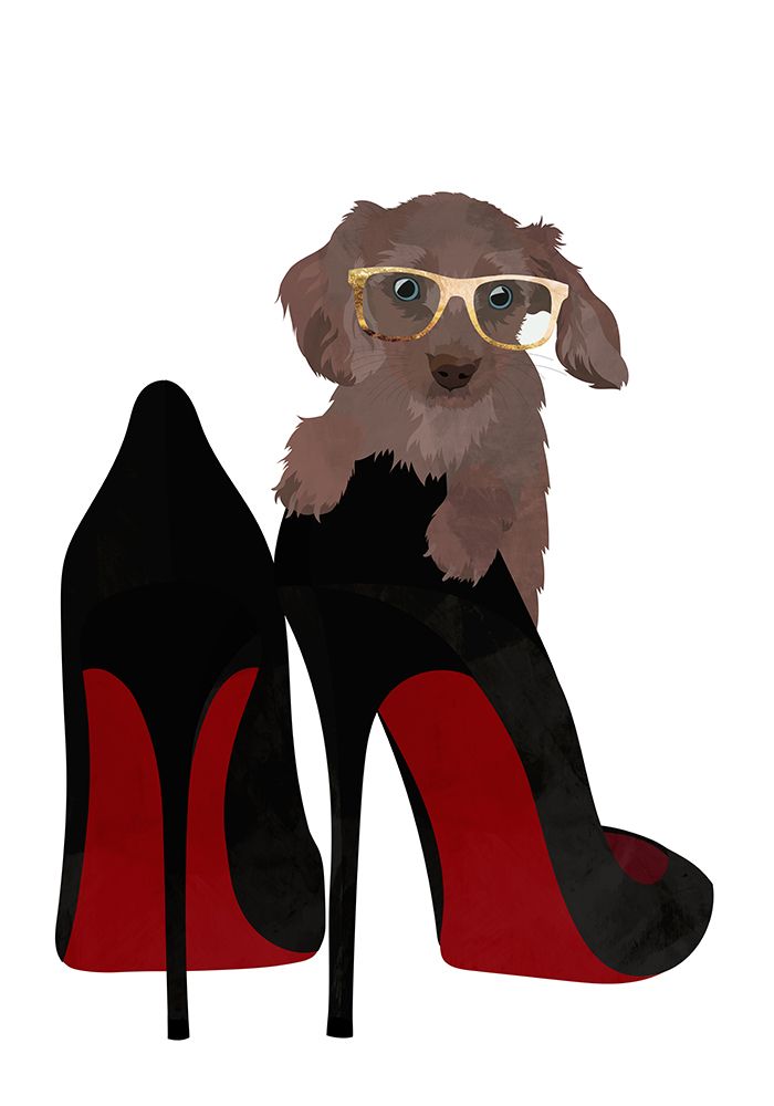 Daschand Shoe art print by Sarah Manovski for $57.95 CAD