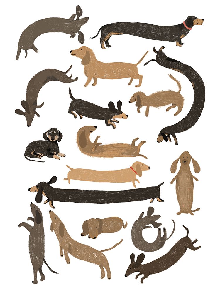 Dachshund Print art print by Hanna Melin for $57.95 CAD