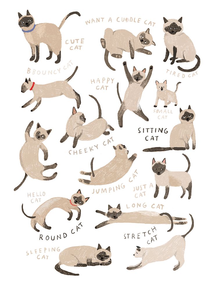 Siamese Cat Print art print by Hanna Melin for $57.95 CAD
