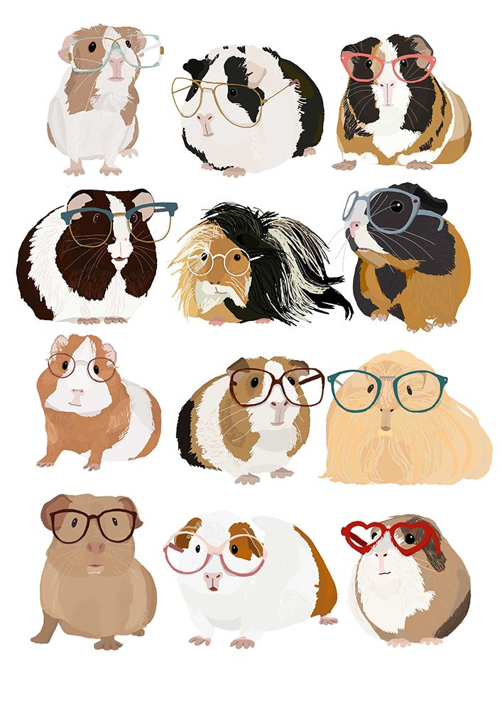Guinea Pig in Glasses art print by Hanna Melin for $57.95 CAD