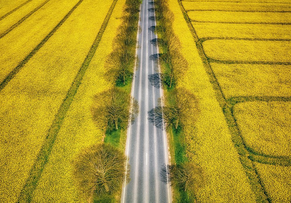 Spring art print by Guy Krier for $57.95 CAD