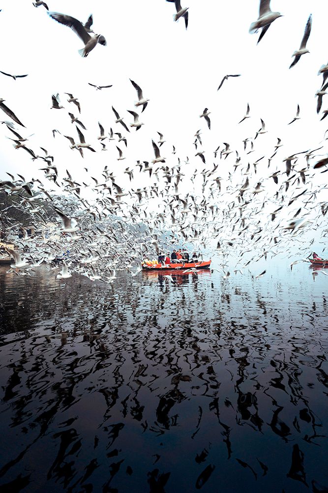 Limitless At Yamuna Ghat art print by Arun R. Hegden for $57.95 CAD