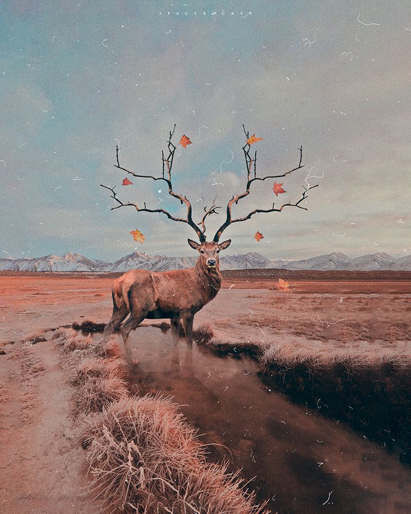 #642 art print by Spacerocket Art for $57.95 CAD