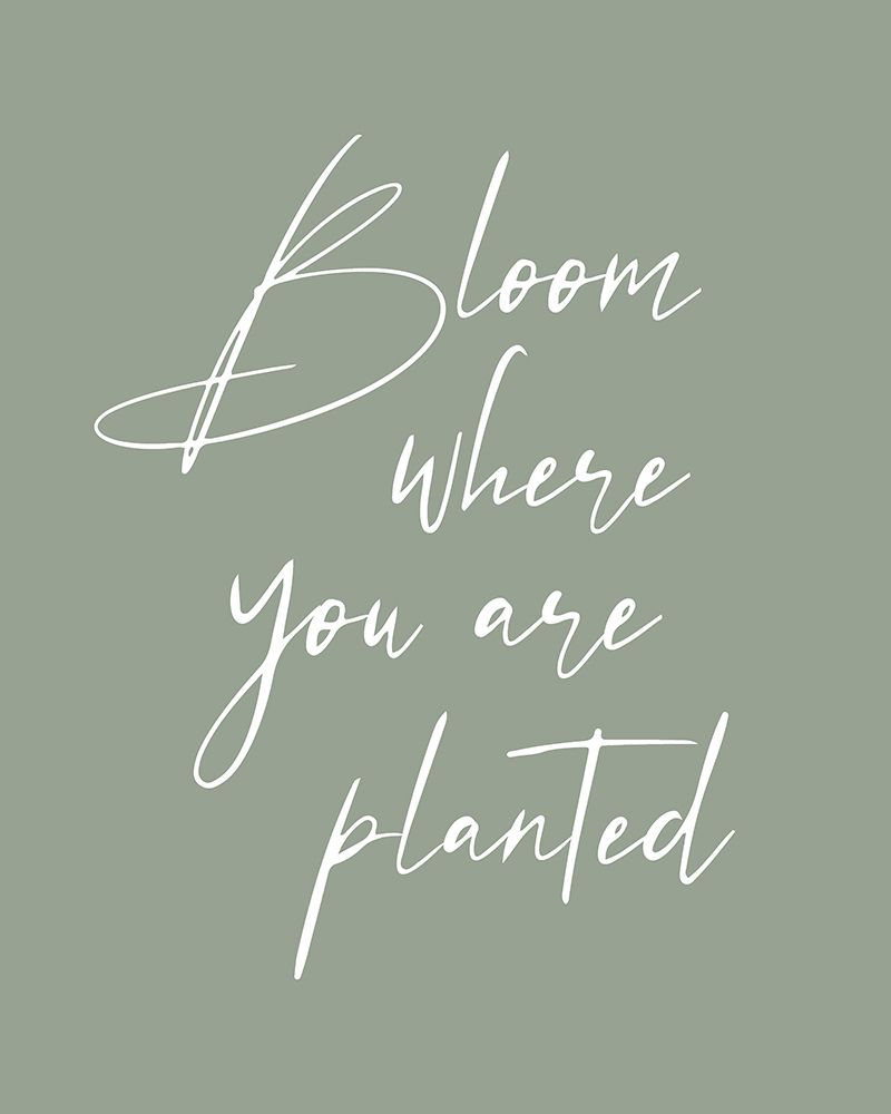 Bloom art print by Beth Cai for $57.95 CAD