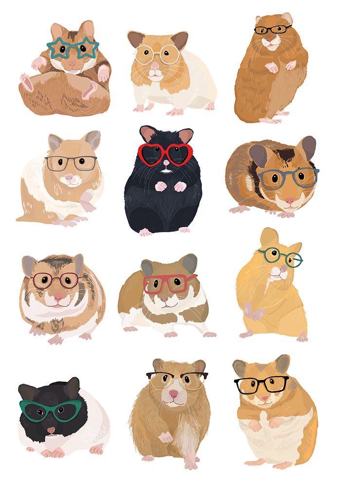A1 Hamsters In Glasses art print by Hanna Melin for $57.95 CAD