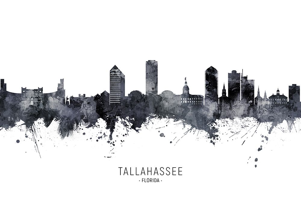 Tallahassee Florida Skyline art print by Michael Tompsett for $57.95 CAD