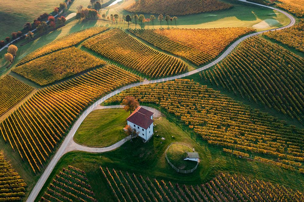 Golden Hill art print by Jure Kravanja for $57.95 CAD