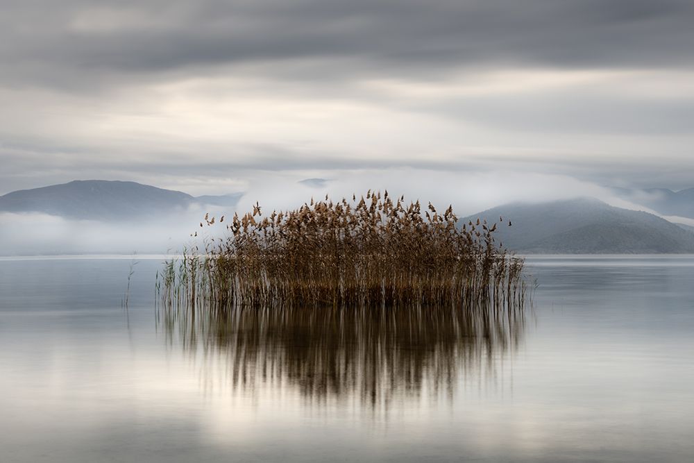 Vegoritis, 2022 art print by George Digalakis for $57.95 CAD