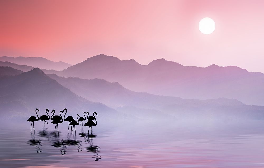 Flamingos Sunset art print by Bess Hamiti for $57.95 CAD