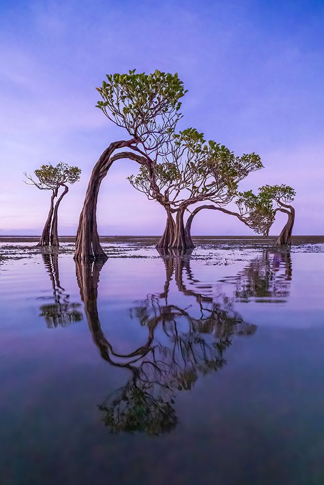 Dancing Trees art print by Irene Wu for $57.95 CAD