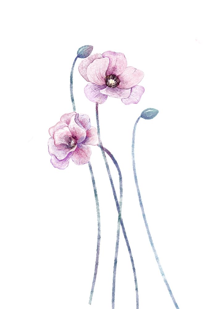 Pastel poppy flower art print by Xuan Thai for $57.95 CAD