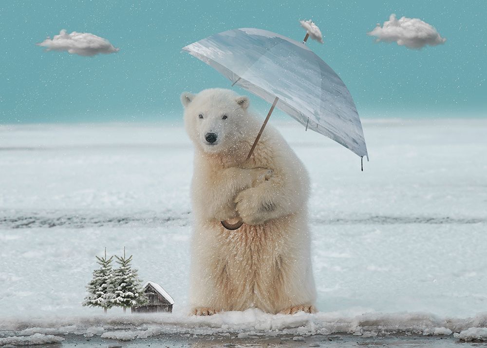 Polar bear art print by Salome Zhividze for $57.95 CAD