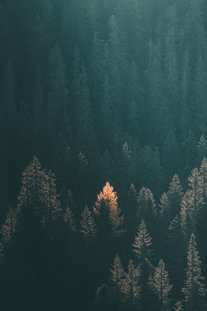 Sunrise art print by Rado Gadoczi for $57.95 CAD